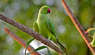 Slideshow Image 2